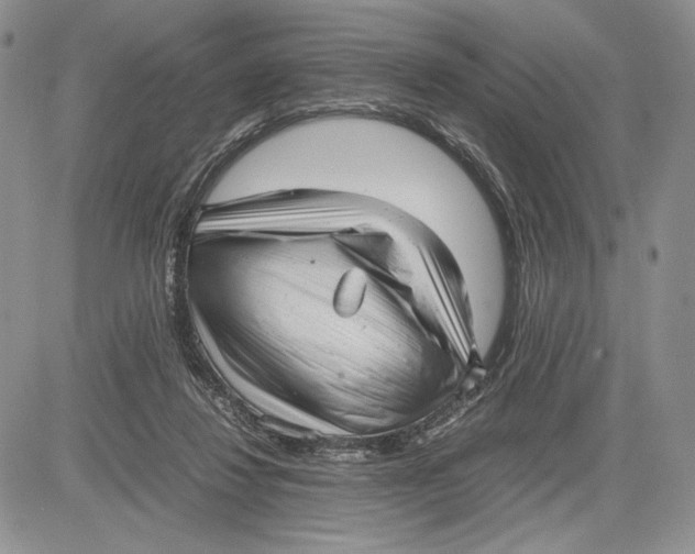 X0000081570260200702051221