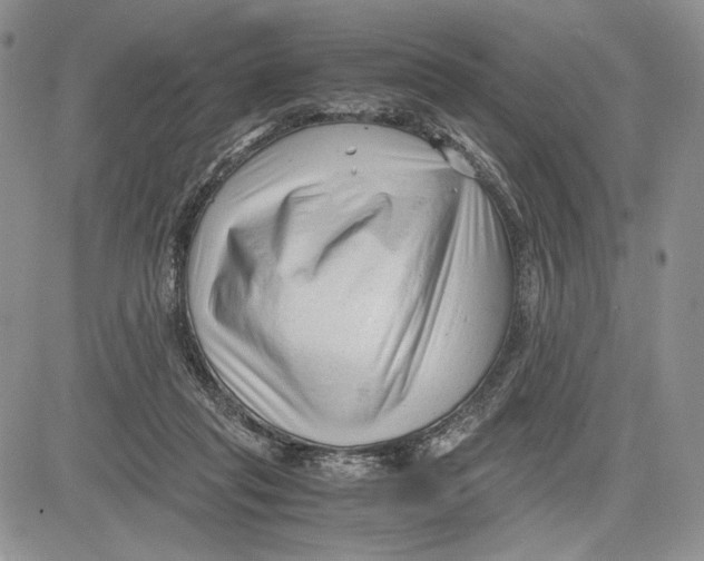 X0000081570261200702051221