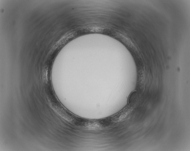 X0000081570262200702051221