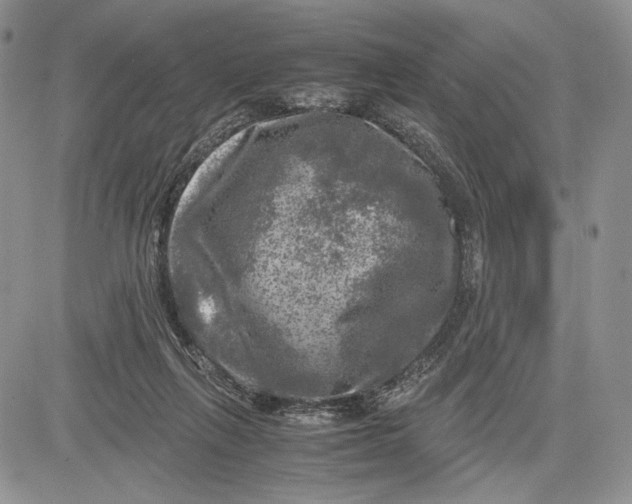 X0000081570263200702051221