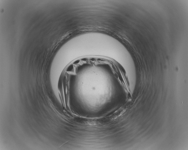 X0000081570264200702051221