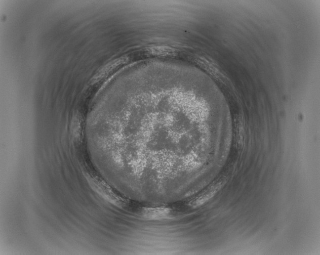 X0000081570266200702051221