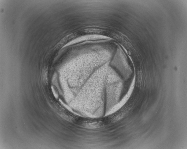 X0000081570267200702051221