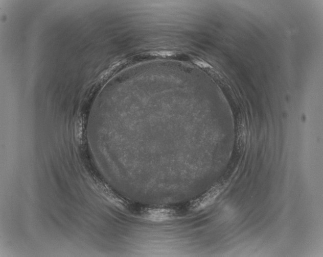 X0000081570268200702051221