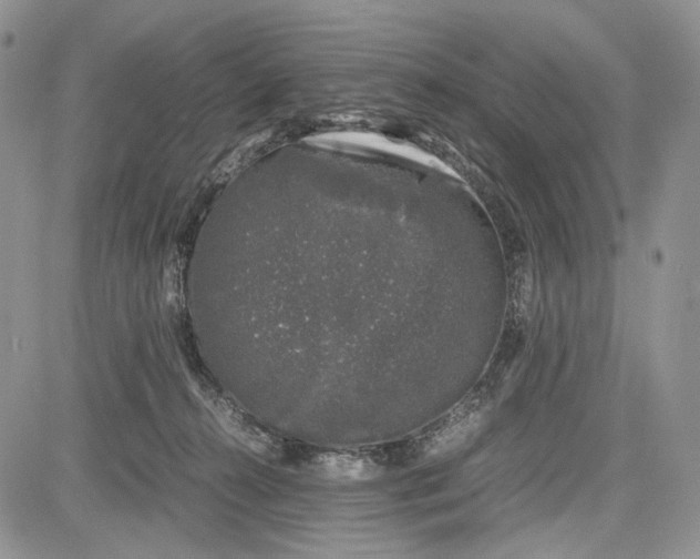 X0000081570272200702051222