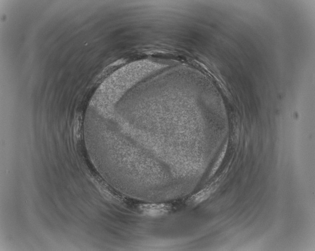 X0000081570273200702051222