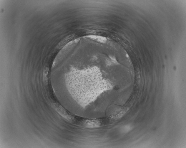 X0000081570275200702051222