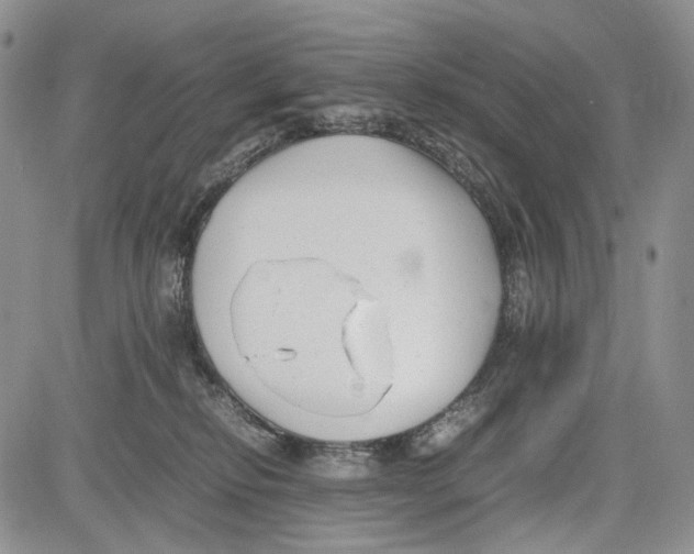 X0000081570278200702051222