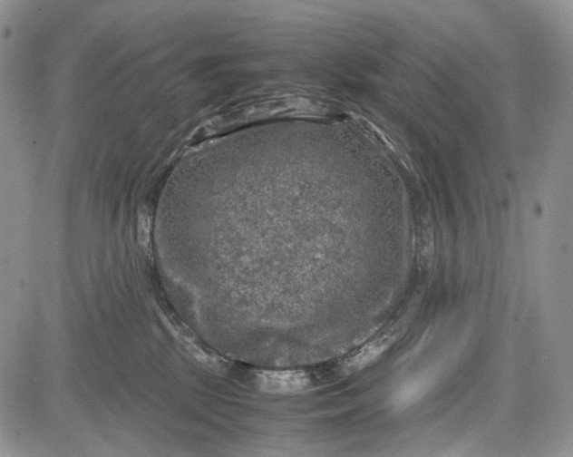 X0000081570281200702051222