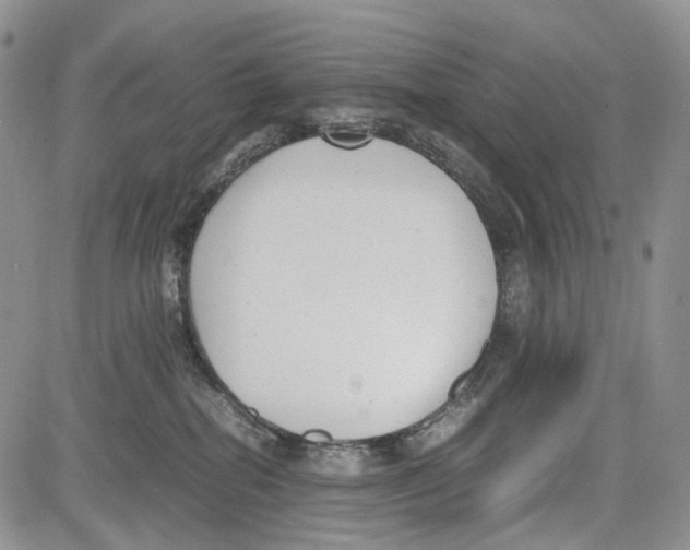 X0000081570282200702051222