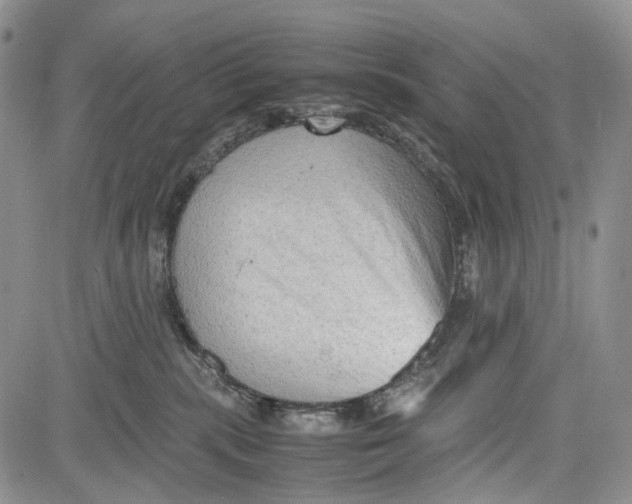 X0000081570283200702051222