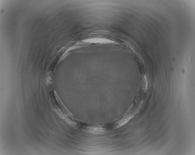 X0000081570284200702051222