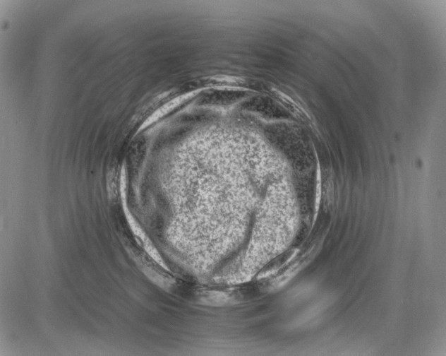 X0000081570285200702051222