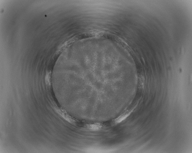 X0000081570286200702051222