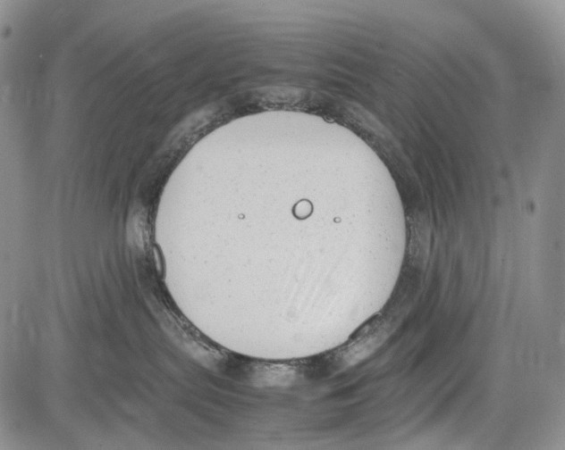 X0000081570287200702051222