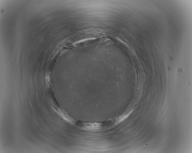 X0000081570288200702051222