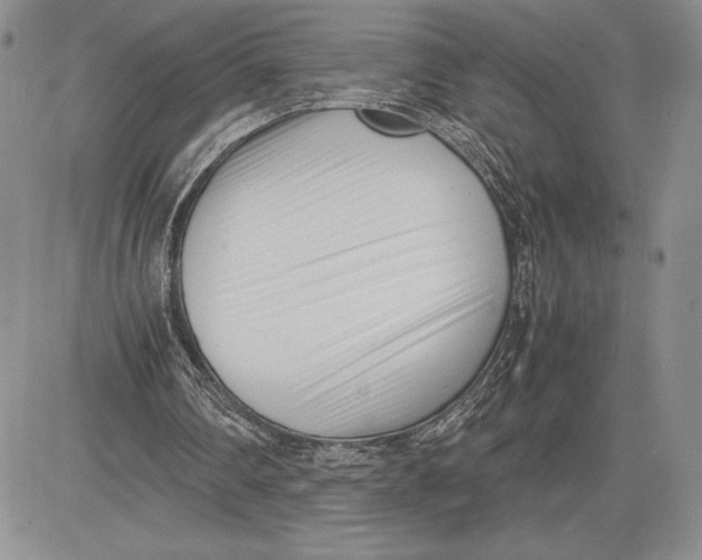 X0000081570290200702051221