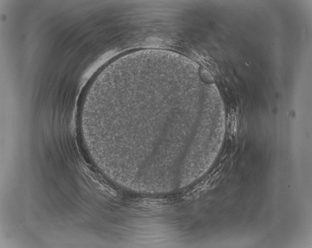 X0000081570292200702051221