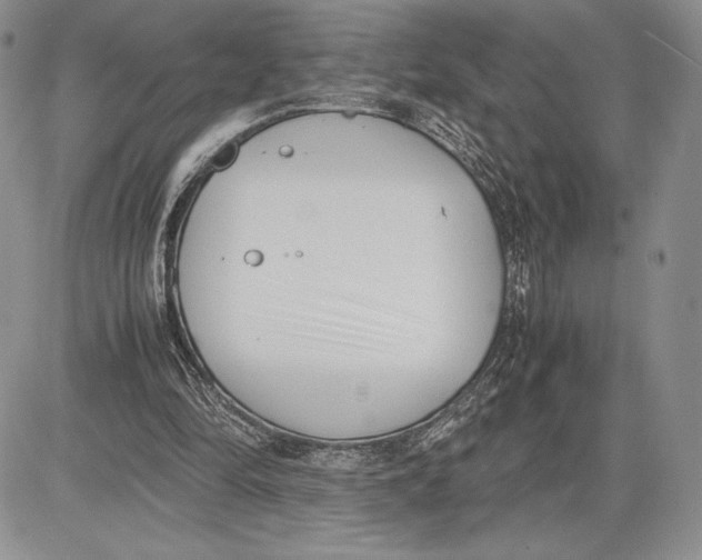 X0000081570294200702051221