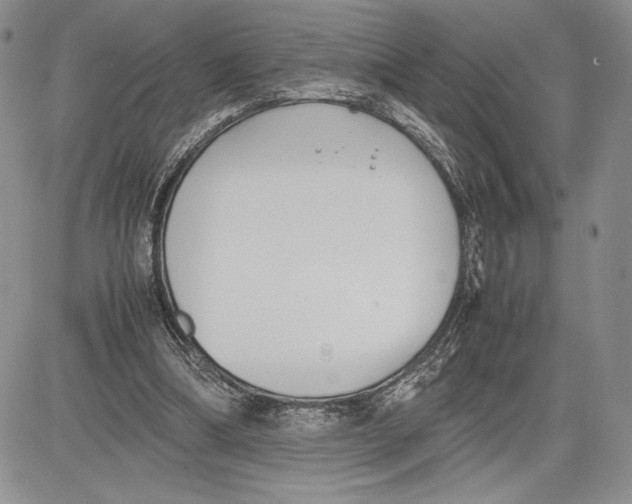 X0000081570298200702051221