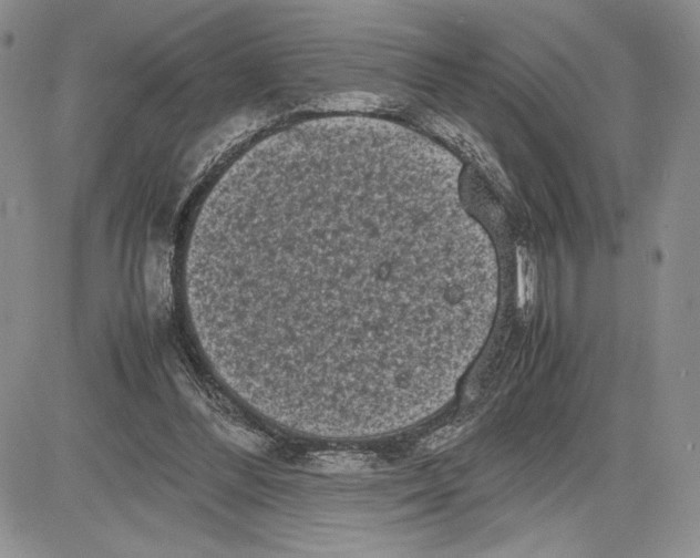 X0000081570300200702051221