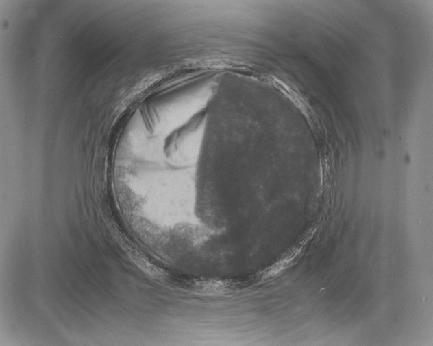 X0000081570301200702051221