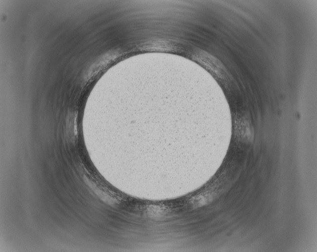 X0000081570302200702051221