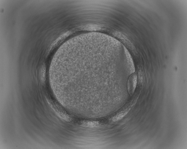 X0000081570304200702051221