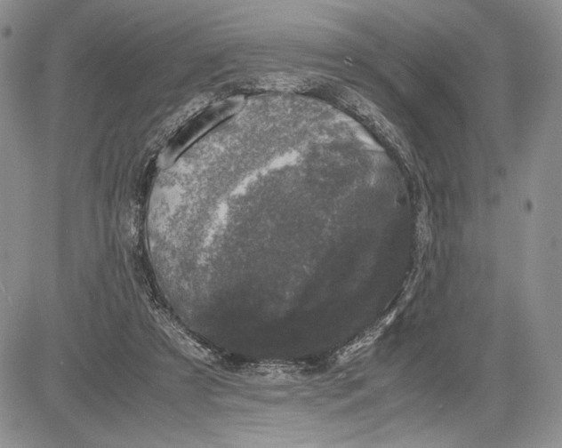 X0000081570305200702051221