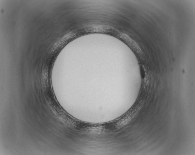 X0000081570306200702051221