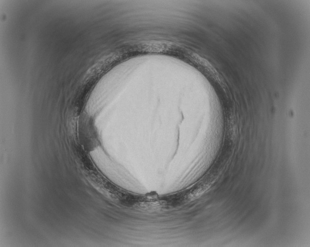 X0000081570307200702051221