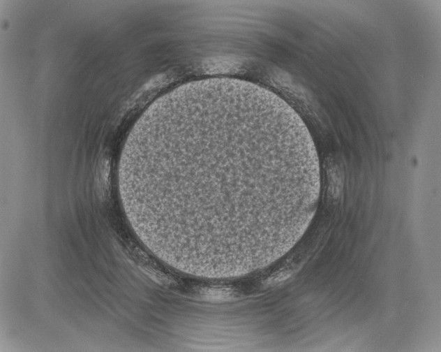 X0000081570308200702051221