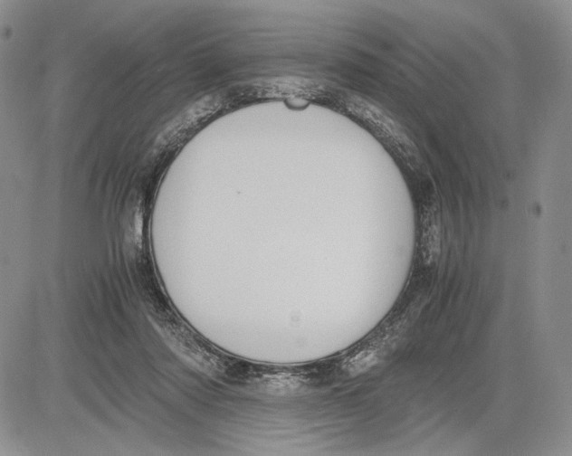 X0000081570310200702051221