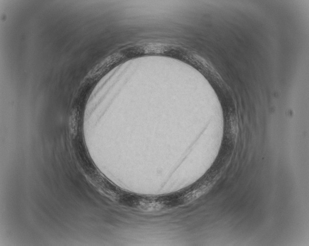 X0000081570311200702051221