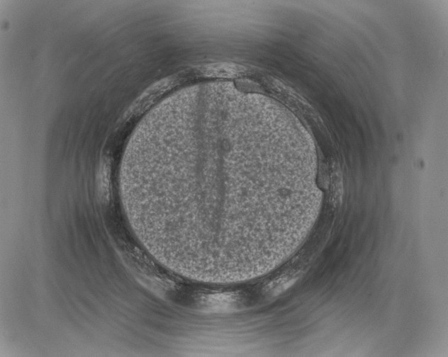 X0000081570312200702051221