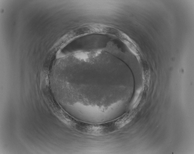 X0000081570313200702051221