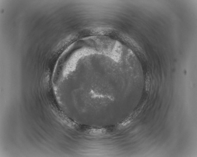 X0000081570314200702051221