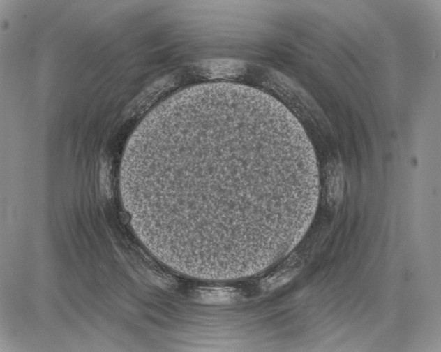 X0000081570316200702051221