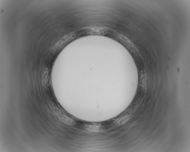 X0000081570318200702051221