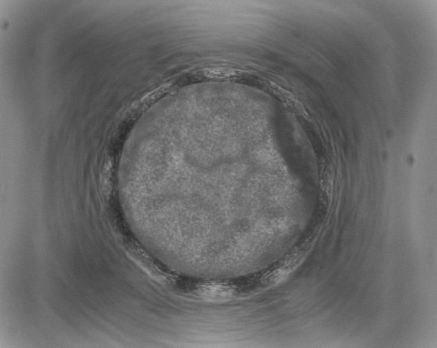 X0000081570319200702051221