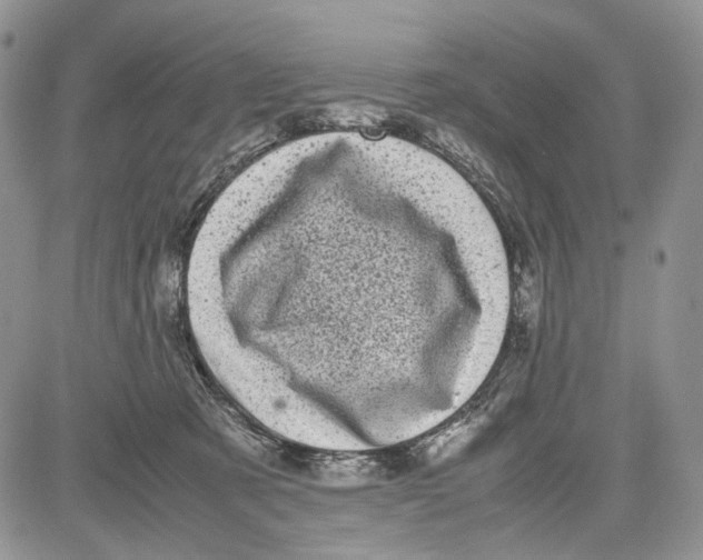 X0000081570321200702051220