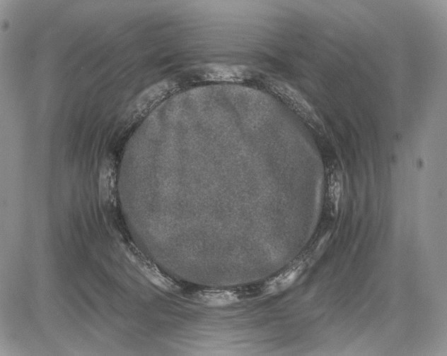 X0000081570322200702051220