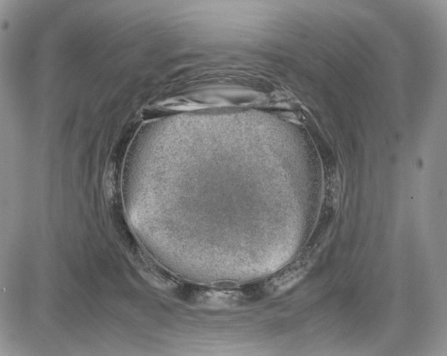 X0000081570323200702051220