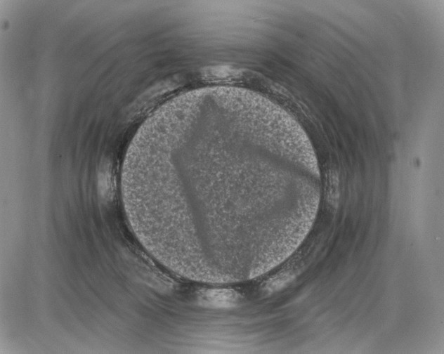 X0000081570324200702051220