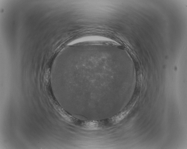 X0000081570325200702051220