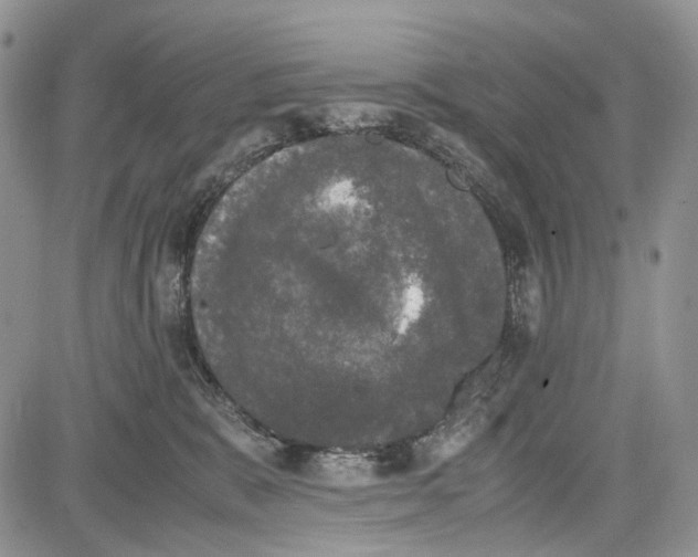 X0000081570327200702051220