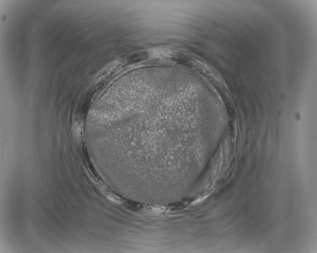 X0000081570329200702051220