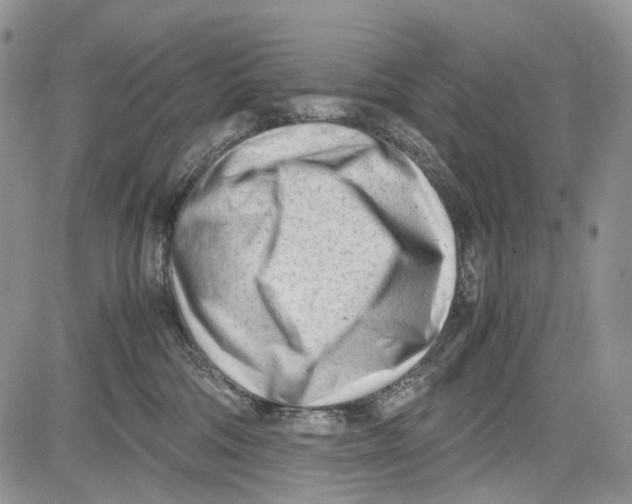 X0000081570330200702051220