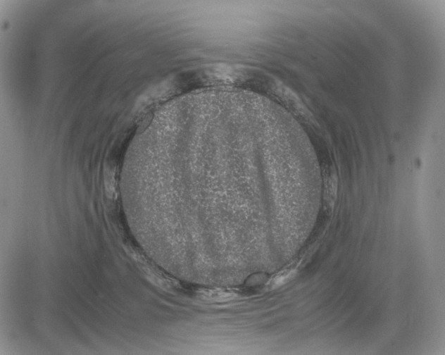 X0000081570331200702051220