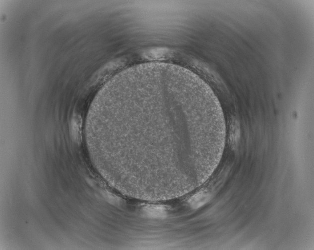 X0000081570332200702051220